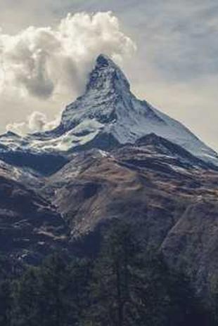 الهوية البصرية IDRA 2025